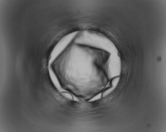 X0000092260670200710121341