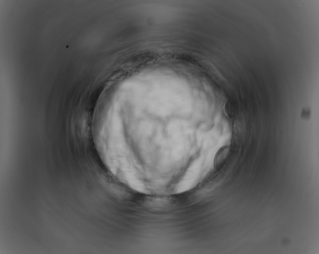 X0000092260671200710121341