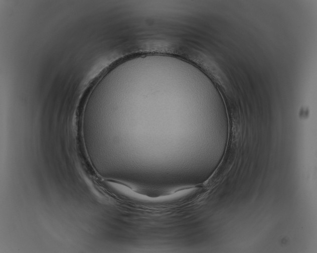 X0000092260674200710121340