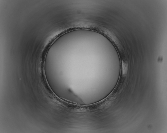 X0000092260675200710121340