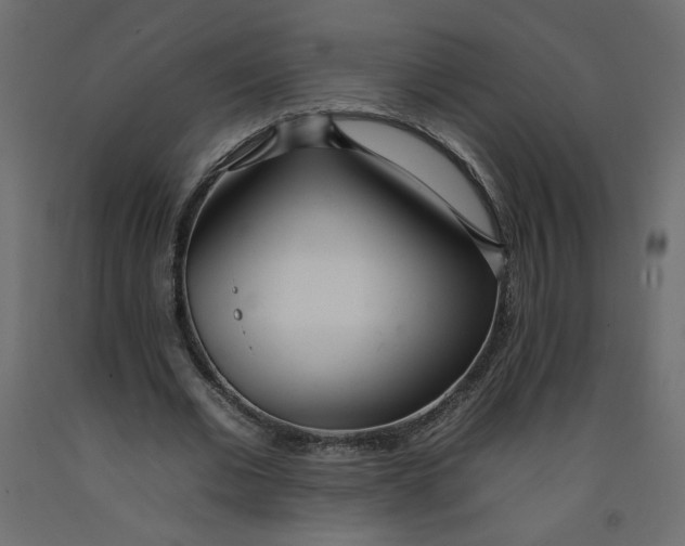 X0000092260677200710121340