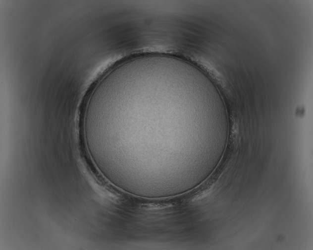 X0000092260678200710121340