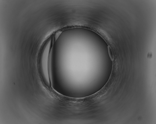 X0000092260680200710121340