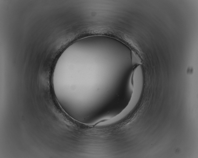 X0000092260681200710121340