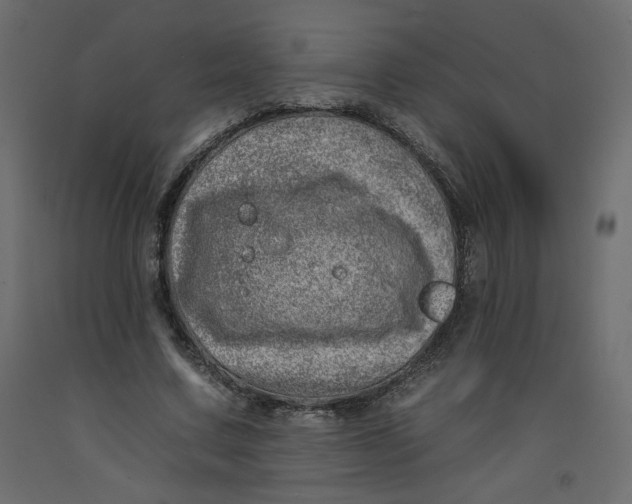 X0000092260683200710121340