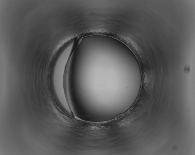 X0000092260684200710121340