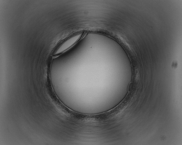 X0000092260685200710121340