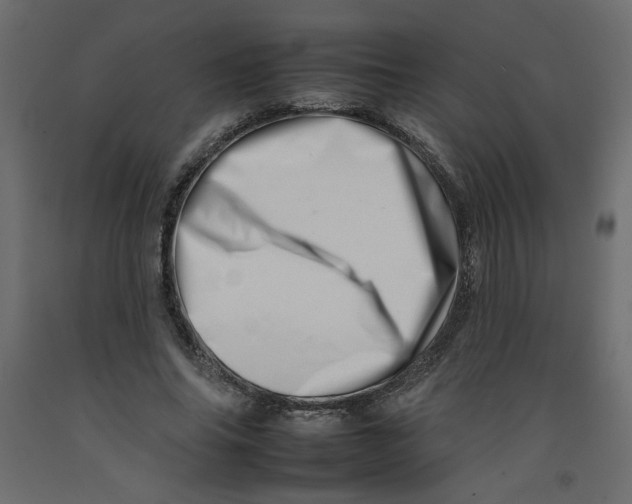 X0000092260686200710121340