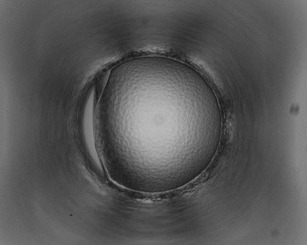 X0000092260688200710121340