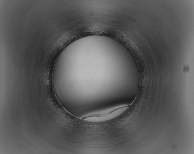 X0000092260689200710121340