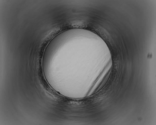 X0000092260690200710121340