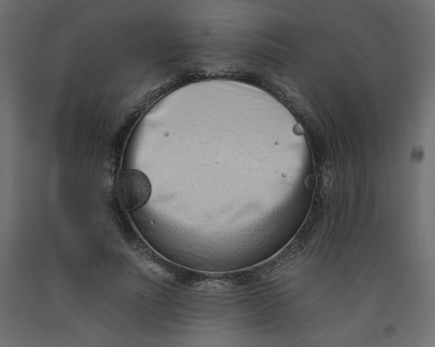 X0000092260691200710121340