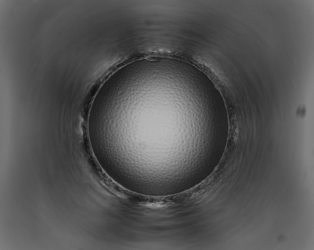 X0000092260692200710121340