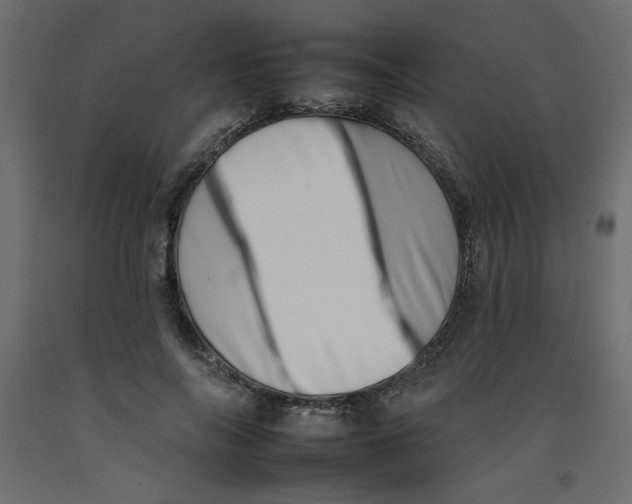 X0000092260694200710121340