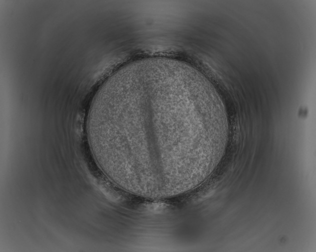 X0000092260695200710121340