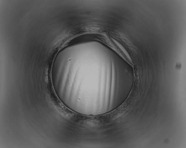 X0000092260696200710121340