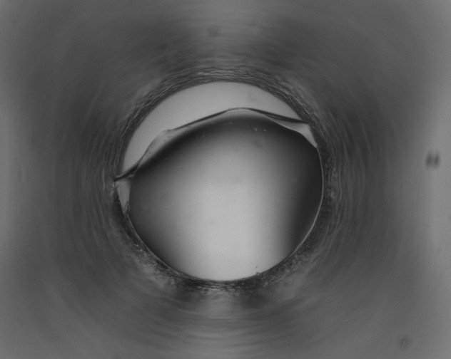 X0000092260697200710121340