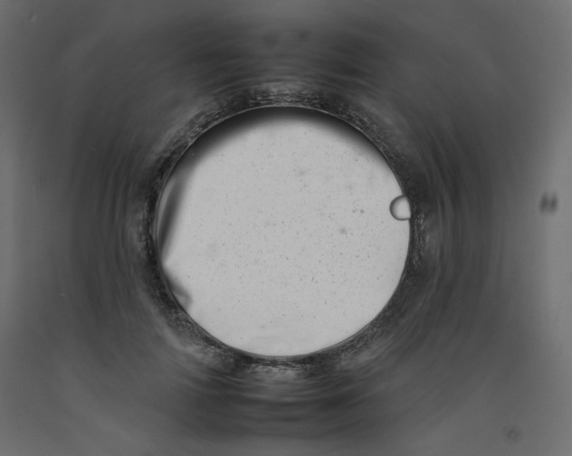 X0000092260698200710121340