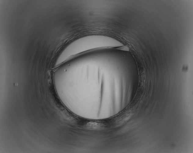 X0000092260699200710121340