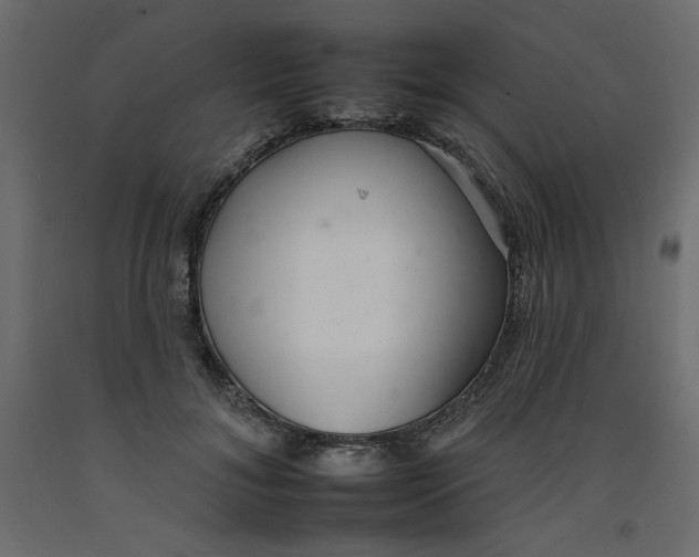 X0000092260700200710121340