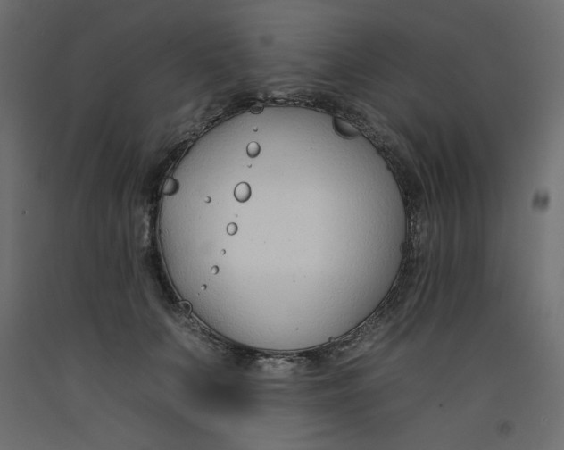 X0000092260703200710121340