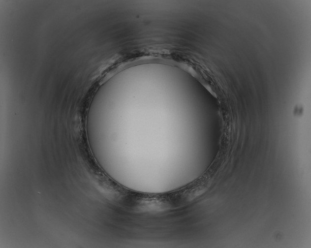 X0000092260704200710121340