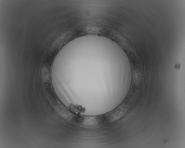 X0000092260705200710121340