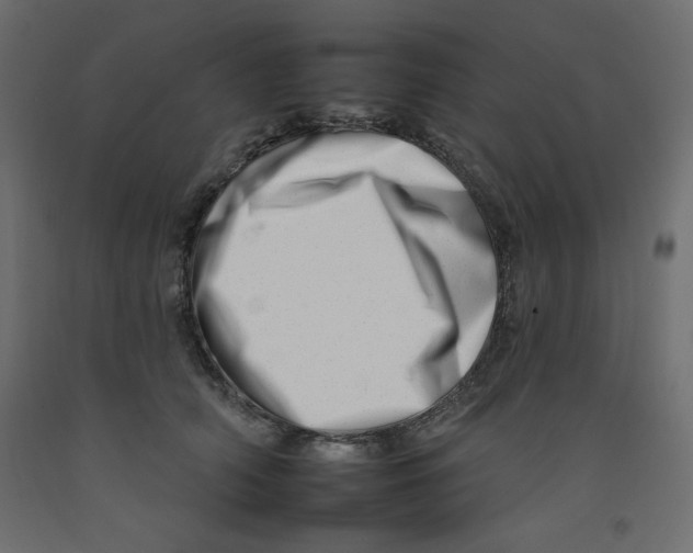 X0000092260706200710121340