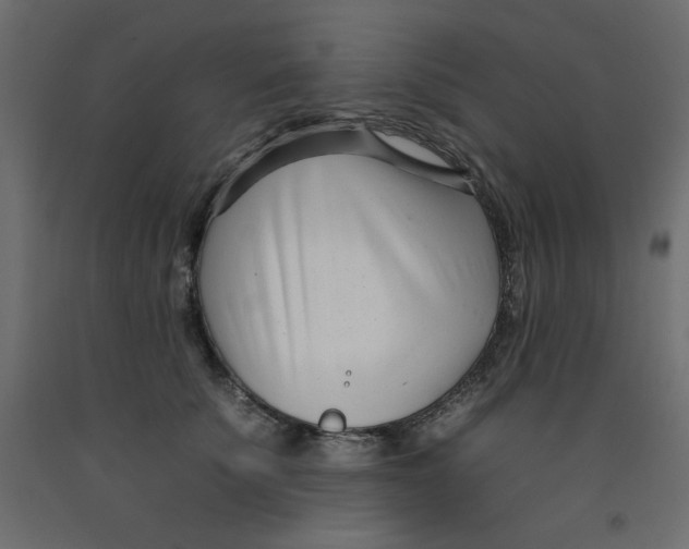 X0000092260707200710121340