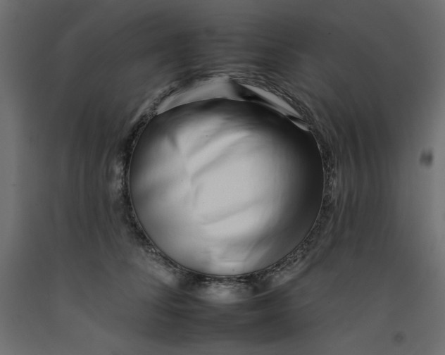 X0000092260708200710121340