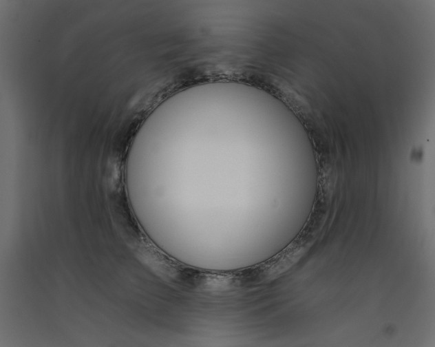 X0000092260709200710121340