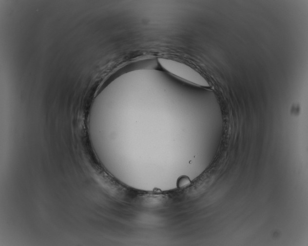 X0000092260711200710121340