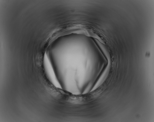 X0000092260712200710121340