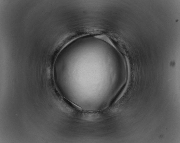 X0000092260716200710121339