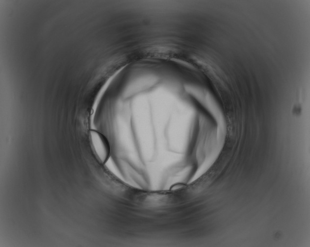 X0000092260718200710121339