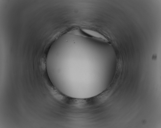 X0000092260719200710121339