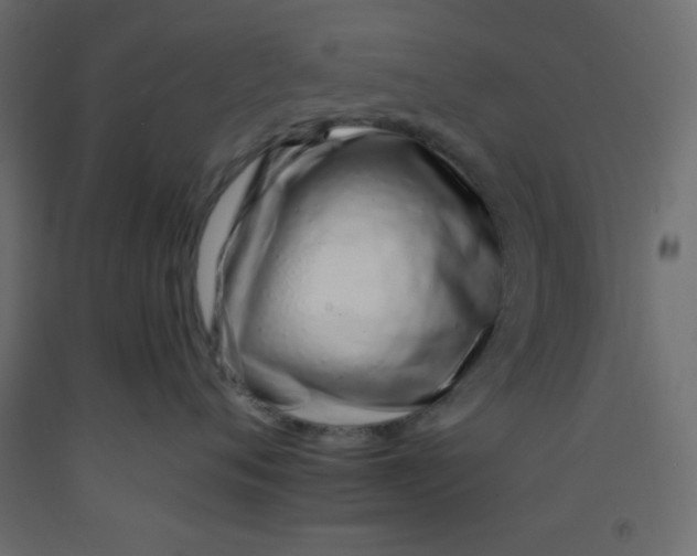 X0000092260720200710121339