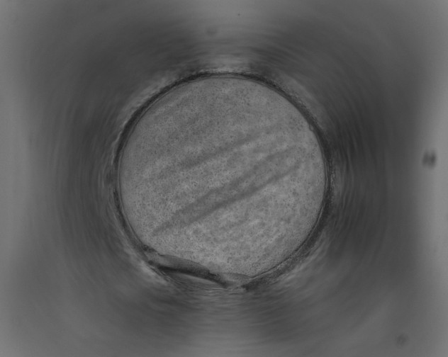 X0000092260721200710121338