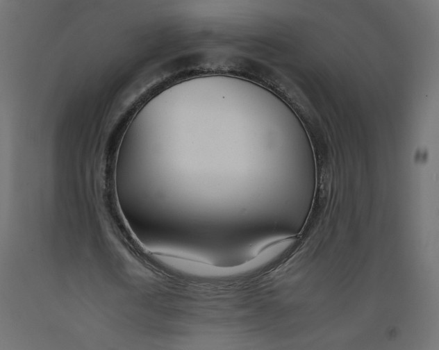 X0000092260722200710121338