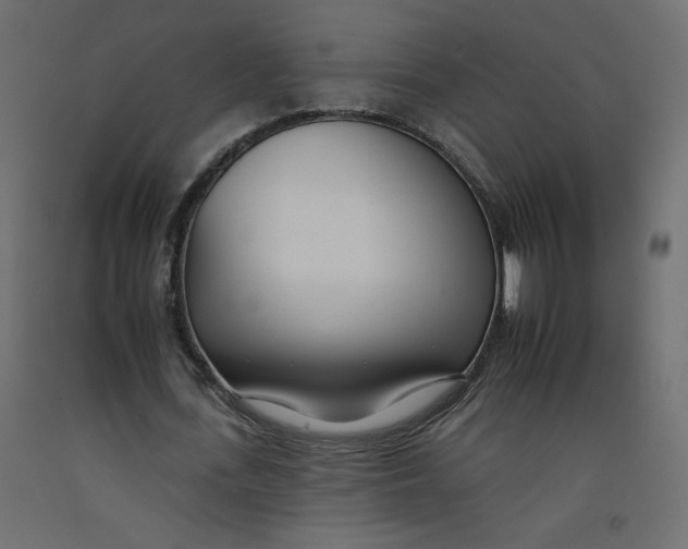 X0000092260723200710121338