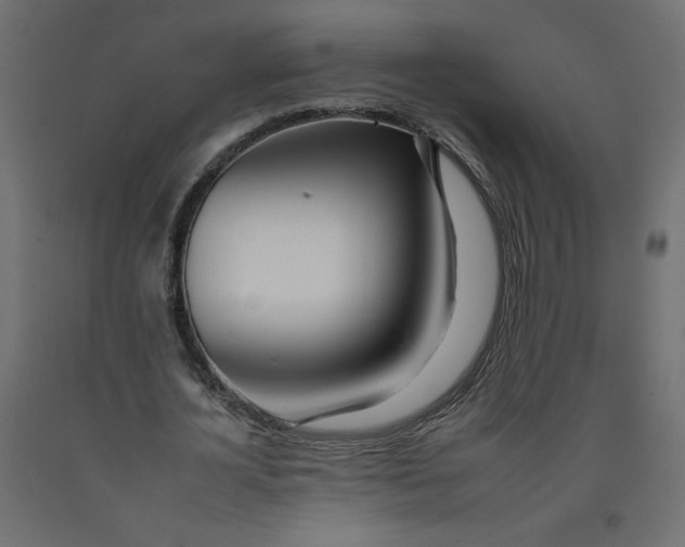 X0000092260724200710121339