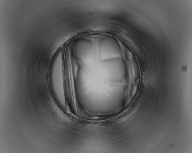 X0000092260725200710121339