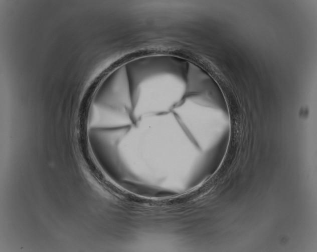 X0000092260726200710121339