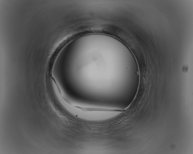 X0000092260728200710121339