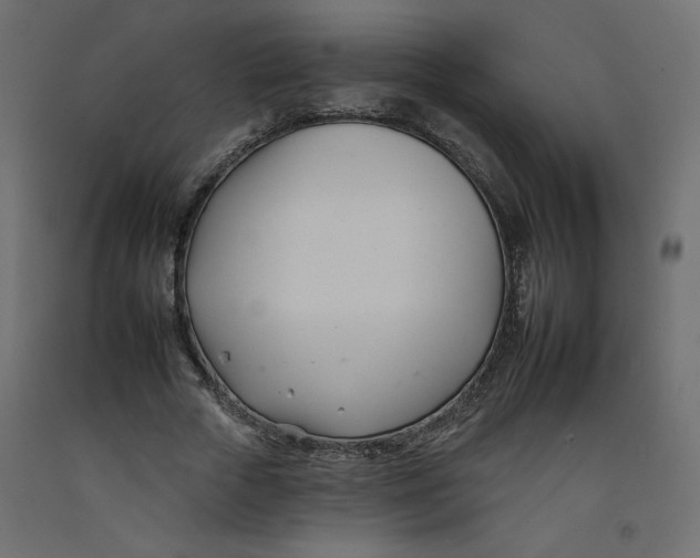 X0000092260729200710121339