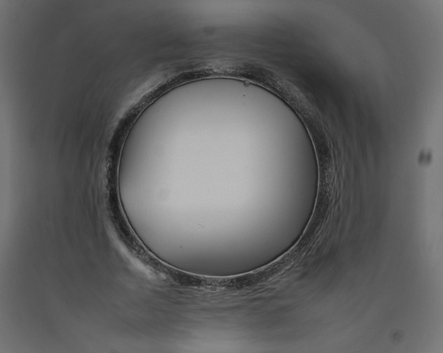 X0000092260730200710121339