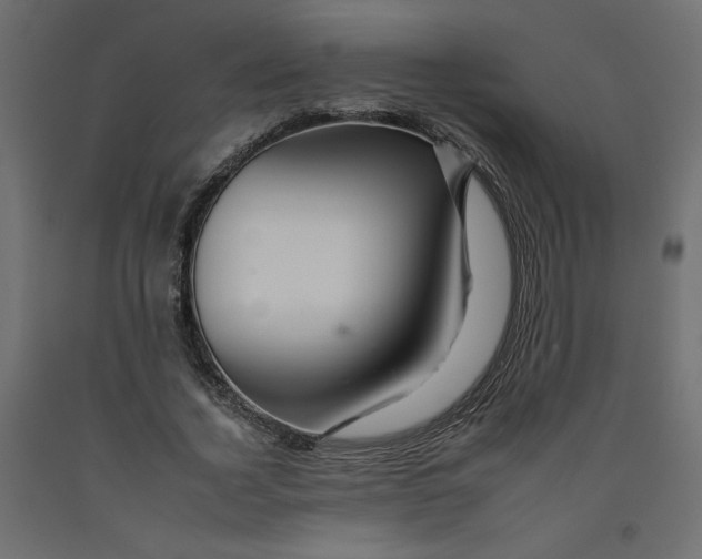 X0000092260732200710121339