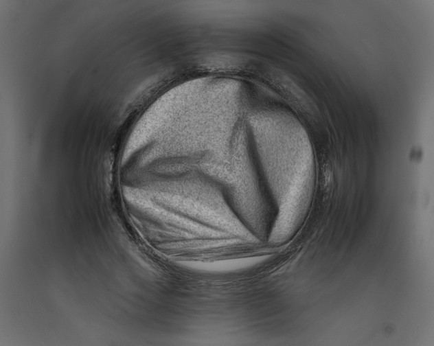 X0000092260733200710121339