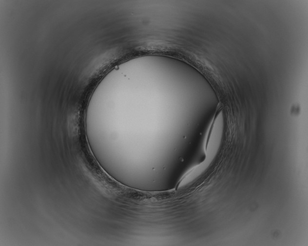 X0000092260735200710121339