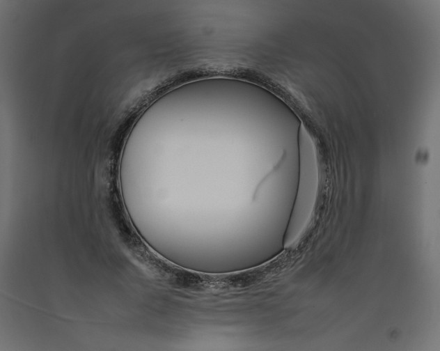 X0000092260736200710121339